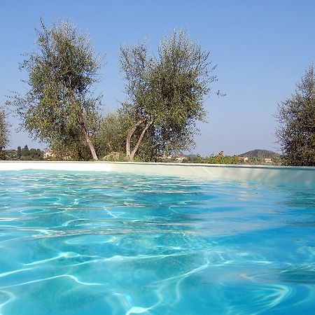 Agriturismo Le Querce Palaia Extérieur photo