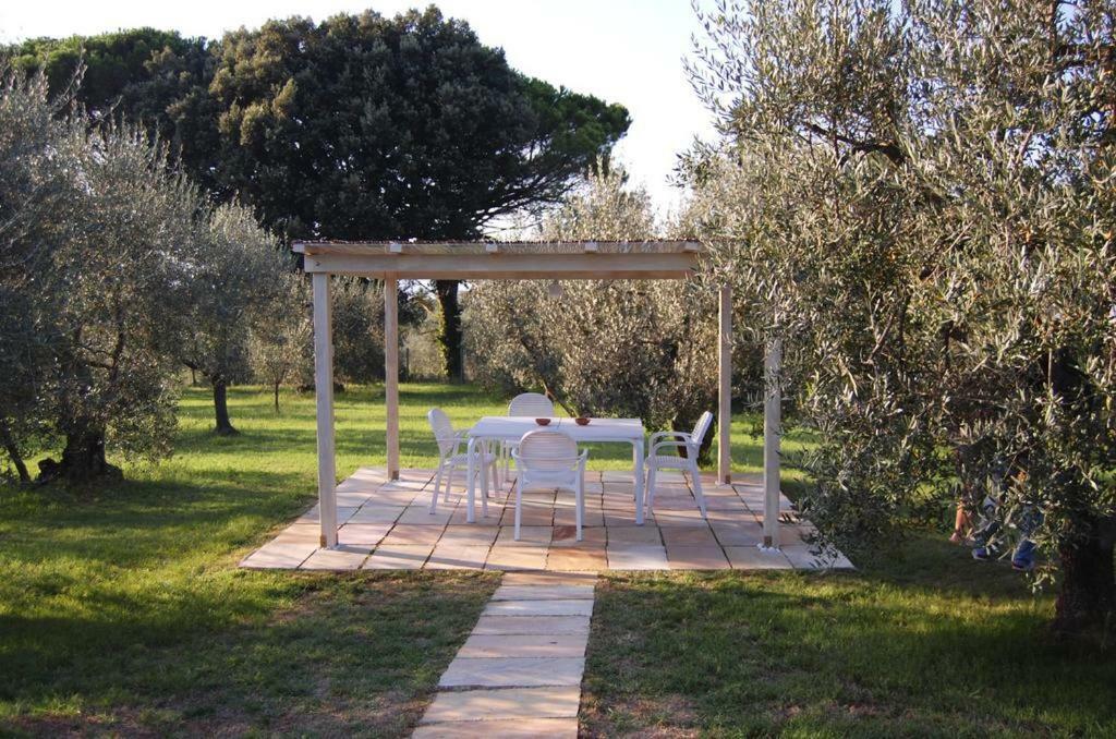 Agriturismo Le Querce Palaia Extérieur photo
